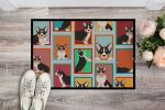 NEW Lots of Tricolor Cardigan Corgi Doormat Front Door Mat Indoor Outdoor Rugs for Entryway, Non Slip Washable Low Pile, 18H X 27W