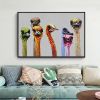 Hand Painted Oil Painting Ostrich Aniamls Oil Painting On Canvas Wall Art Decoration Modern Abstract Picture Living Room Hallway Bedroom Luxurious Dec